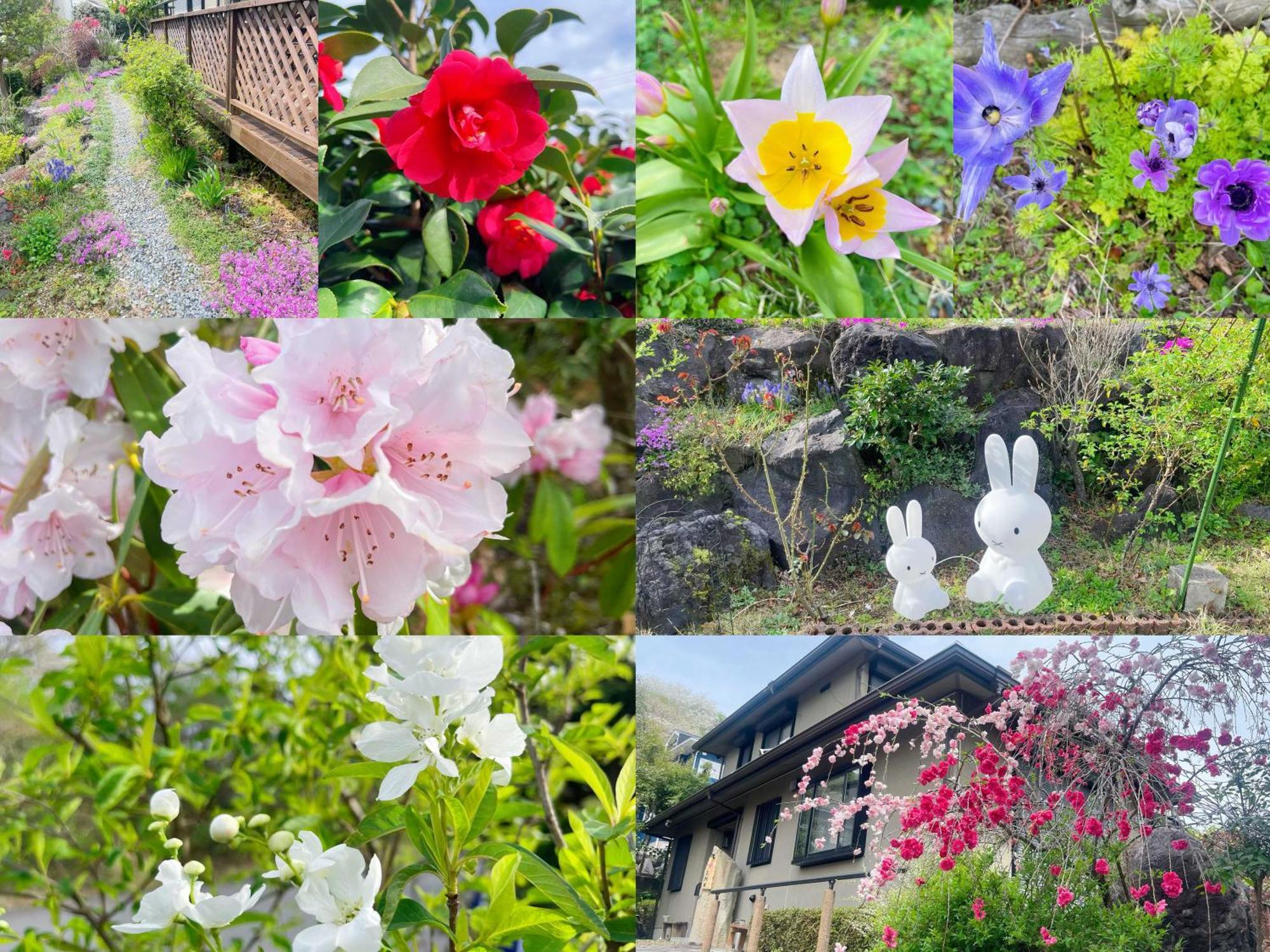 貸別荘花摘里　伊豆高原 Futo 外观 照片